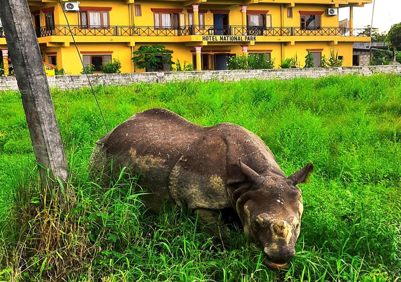 Hotel National Park Sauraha- Homely Stay And Peaceful Location With Jungle Safari Arrangements Εξωτερικό φωτογραφία