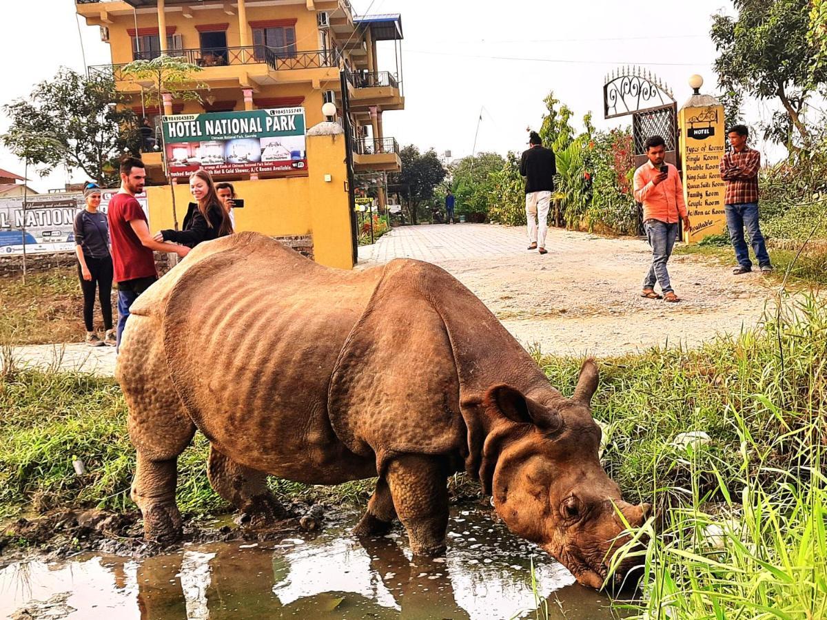Hotel National Park Sauraha- Homely Stay And Peaceful Location With Jungle Safari Arrangements Εξωτερικό φωτογραφία
