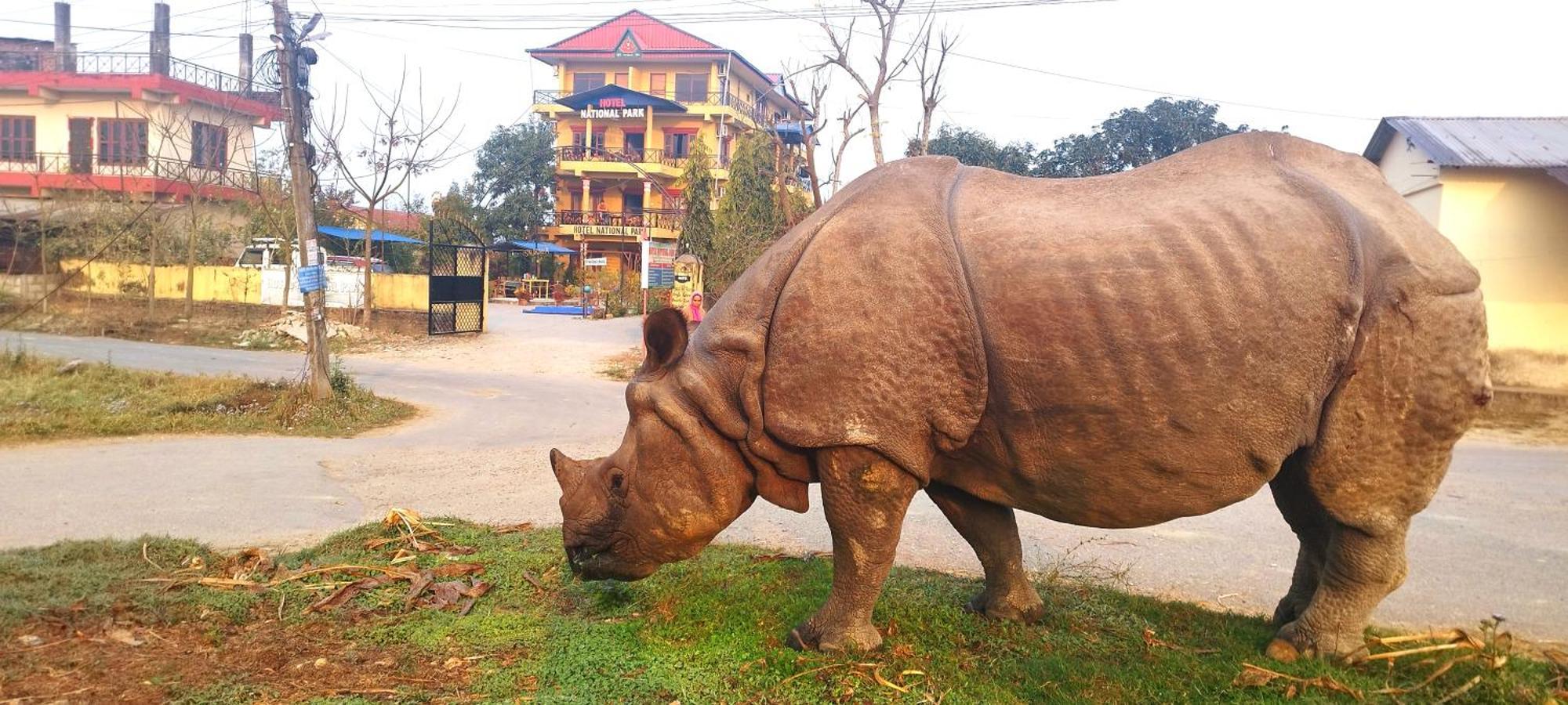 Hotel National Park Sauraha- Homely Stay And Peaceful Location With Jungle Safari Arrangements Εξωτερικό φωτογραφία