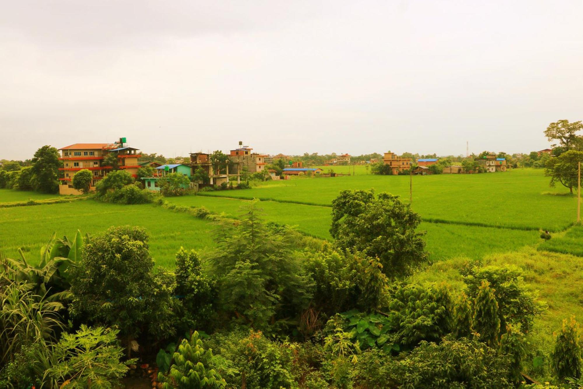 Hotel National Park Sauraha- Homely Stay And Peaceful Location With Jungle Safari Arrangements Εξωτερικό φωτογραφία